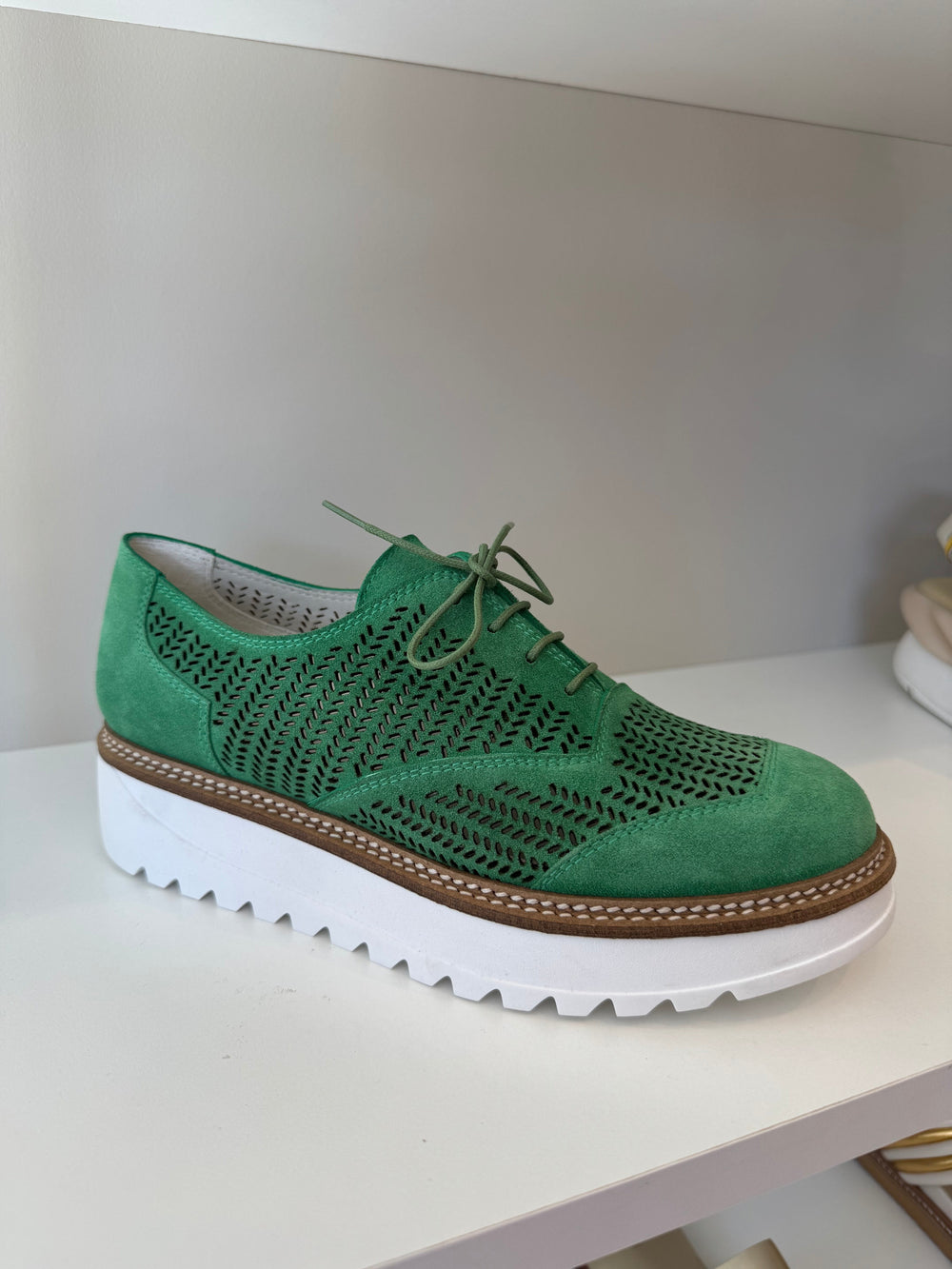 Rex Shoes