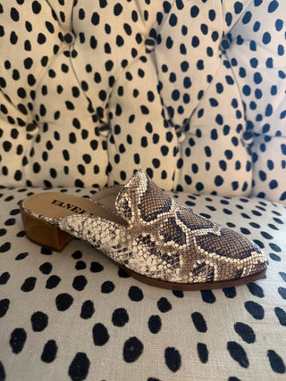 Vaneli | Teja | Brown Roccia