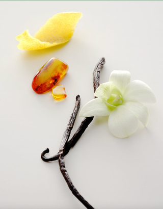 Maison Louis Marie – No. 15 – Vanille Infinie – product view 2 of 2