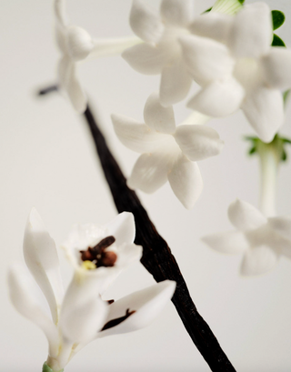 Maison Louis Marie – No. 03 – L'Etang Noir – product view 2 of 2