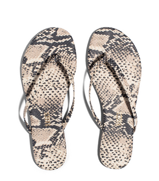 Tkees | Studio Exotic | Sandsnake