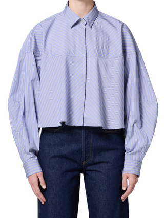 Agolde – Agnes Shirt – Meyer Stripe Blue