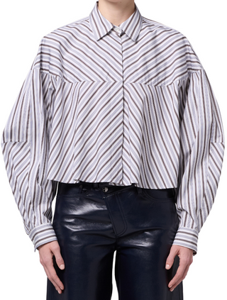 Agolde | Agnes Shirt | Meyers Stripe Bracken Blue